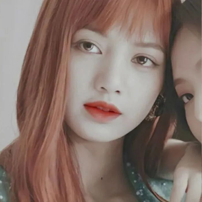 真傻cp Lisa jennie