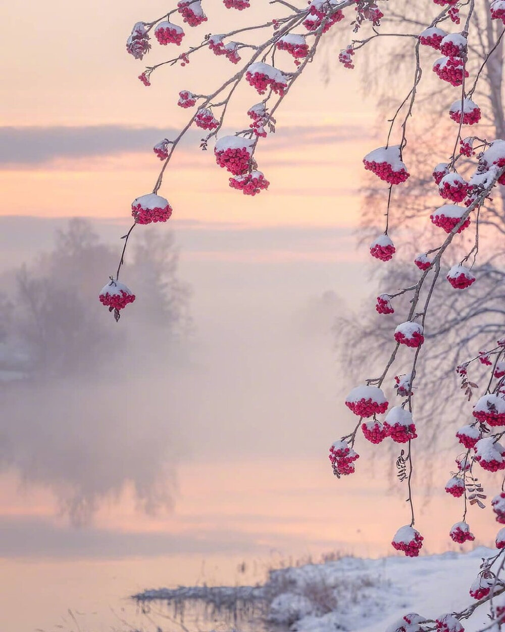  雪景壁纸
