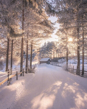   雪景壁纸
