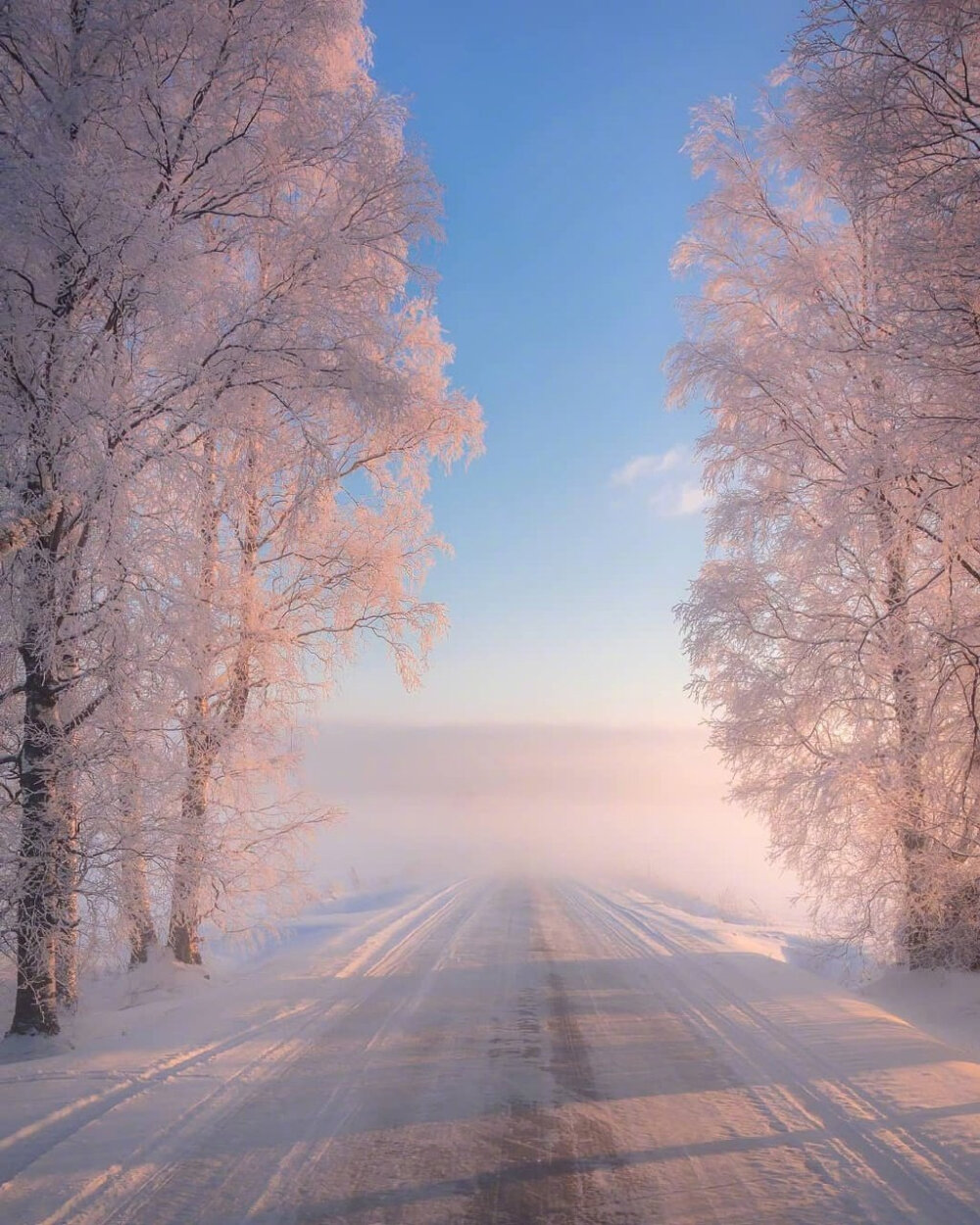  雪景壁纸
