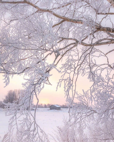  雪景壁纸
