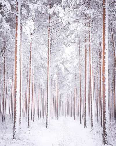  雪景壁纸
