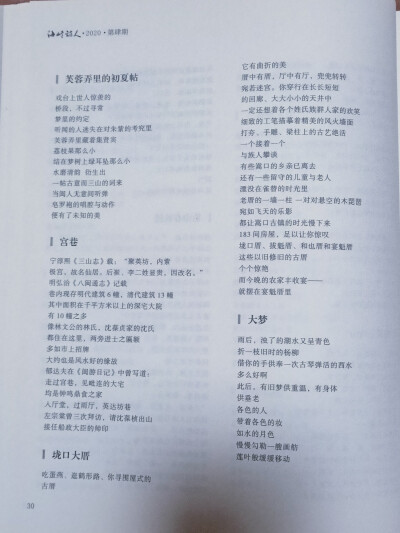 海峡诗人2020.4发《芙蓉园别记》组诗12首