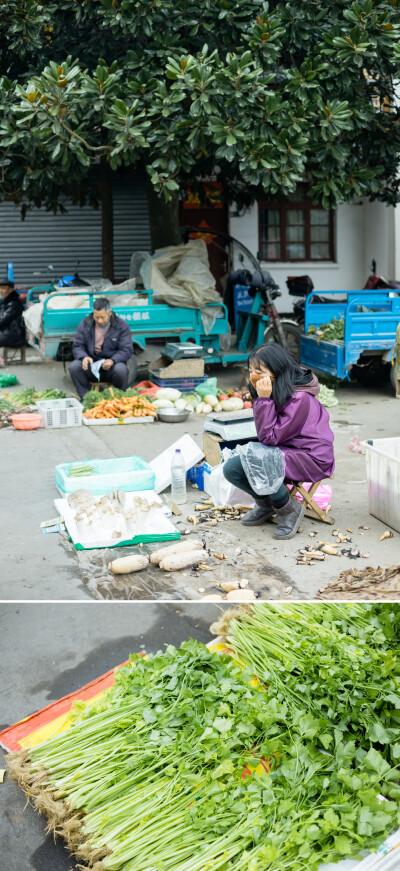 生活片段
摄影：洪小漩
不知道其他姑娘生完孩子会回娘家待多久，总之我已经快两个月了。
我妈说，这次过后，未来我怕是没有这种机会在娘家再待上那么长的时间了。为此，她放下工作，全心全意照顾我。
于是，我的…