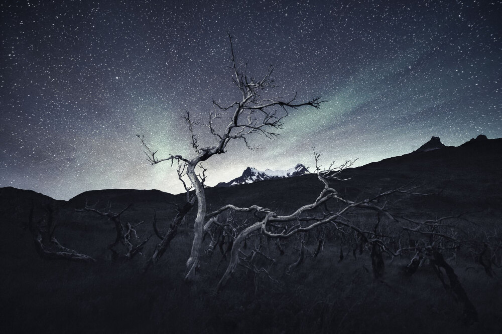 芬兰摄影师Mikko Lagerstedt在智利的巴塔哥尼亚拍摄了这张迷人的照片，并说：“我最喜欢的一次旅行是2016年12月在智利巴塔哥尼亚拍摄的一部关于摄影的新电视剧。这个捕获在托雷斯德尔潘恩国家公园附近的所有受欢迎的地点。我正在寻找这些烧树的独特景观。我在这里拍摄了大约两个小时，就在我离开的时候，我还有一次长时间的曝光，当时有一丝光线从后面撞到了被烧的树上。它来自我们身后的一辆汽车，看起来更像一幅画，而不是一张照片。我在Lightroom中添加了一点蓝色的色调，