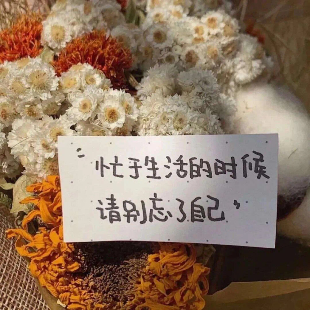 和妈妈吵架了就摸摸肚脐 那是和妈妈曾经相连的地方