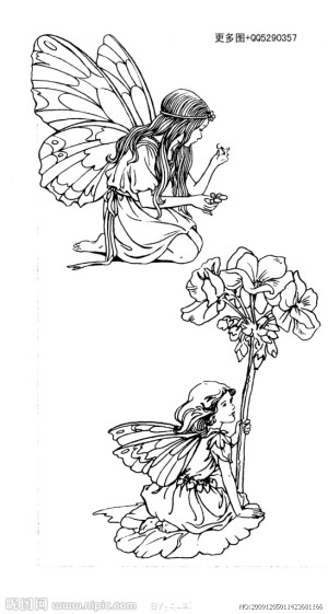 花仙子造型稿