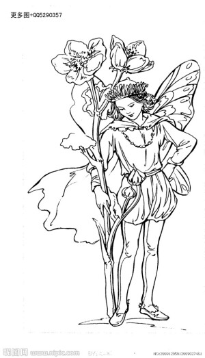 花仙子造型稿