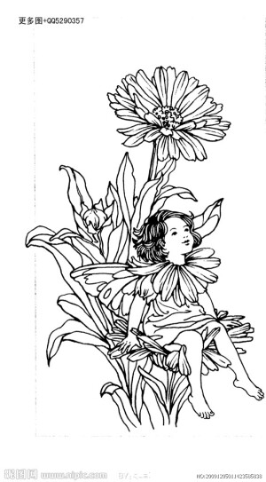 花仙子造型稿