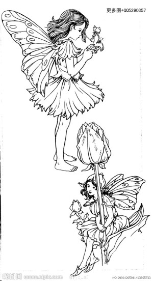 花仙子造型稿