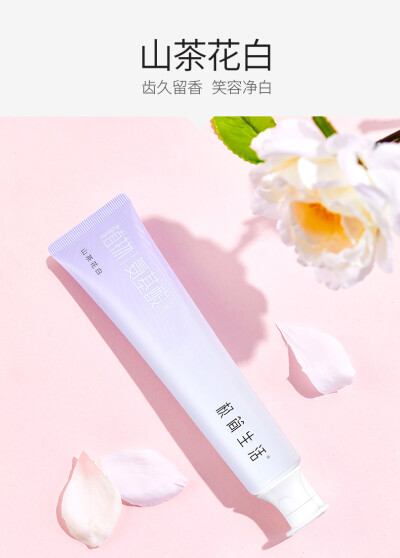 极简生活牙膏