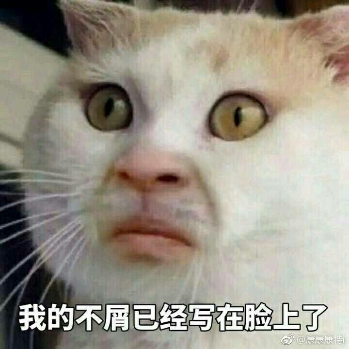 有趣的表情包