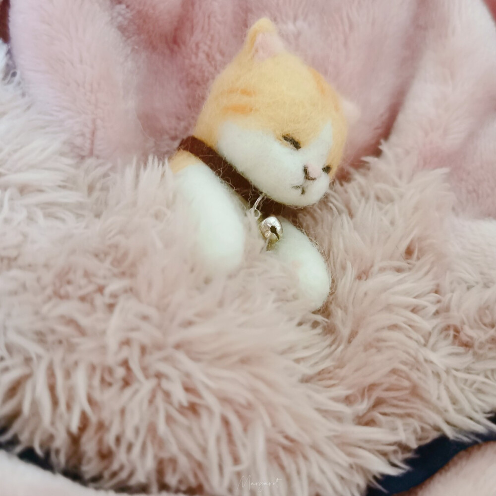 羊毛毡——未完成
