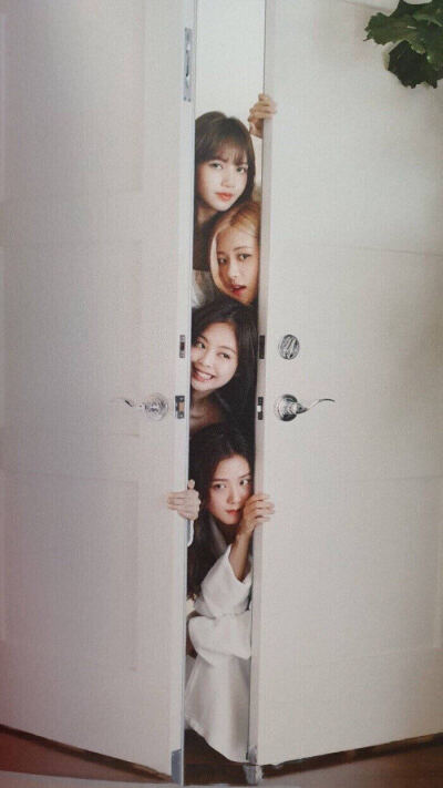 BLACKPINK背景图//拿图点赞收藏