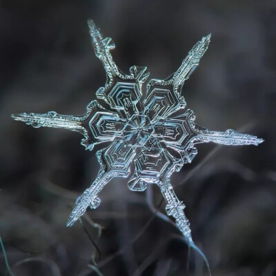 冬天到来，你知道雪花一共有多少种形状吗？每一个都是上帝精心雕刻的艺术品，美到窒息！