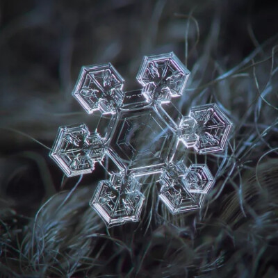 冬天到来，你知道雪花一共有多少种形状吗？每一个都是上帝精心雕刻的艺术品，美到窒息！