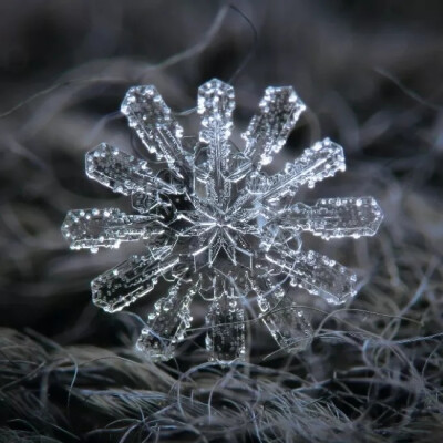 冬天到来，你知道雪花一共有多少种形状吗？每一个都是上帝精心雕刻的艺术品，美到窒息！