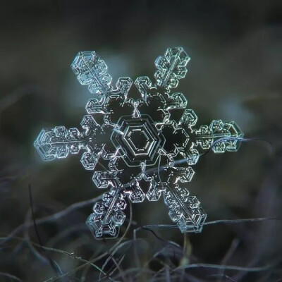 冬天到来，你知道雪花一共有多少种形状吗？每一个都是上帝精心雕刻的艺术品，美到窒息！