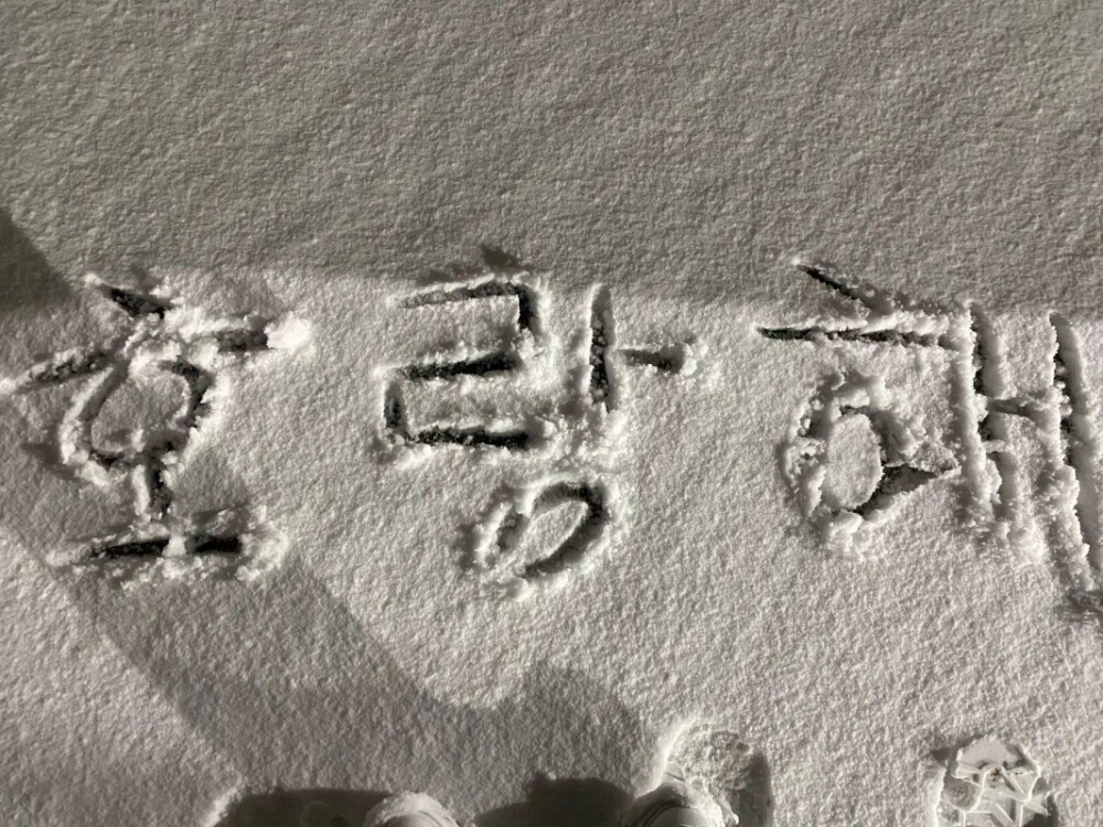 南韩的初雪，小虎的虎浪嘿
权顺荣