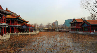 龙潭湖冬景