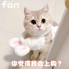 270_270gif 动态图 动图