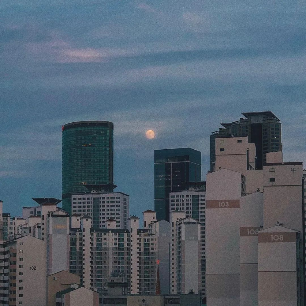 INS风治愈朋友圈背景图
“携一朵小红花赠予你 期待我们接下来的岁岁年年”