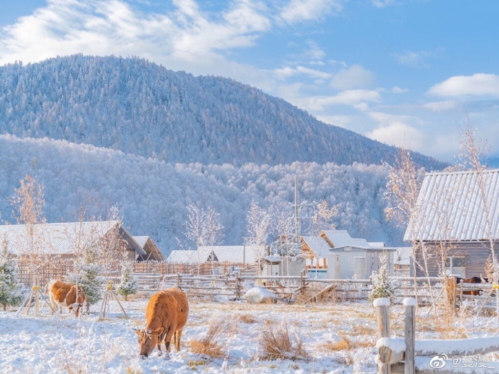 雪景
微博 @蔓漫_ 