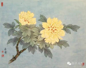素材