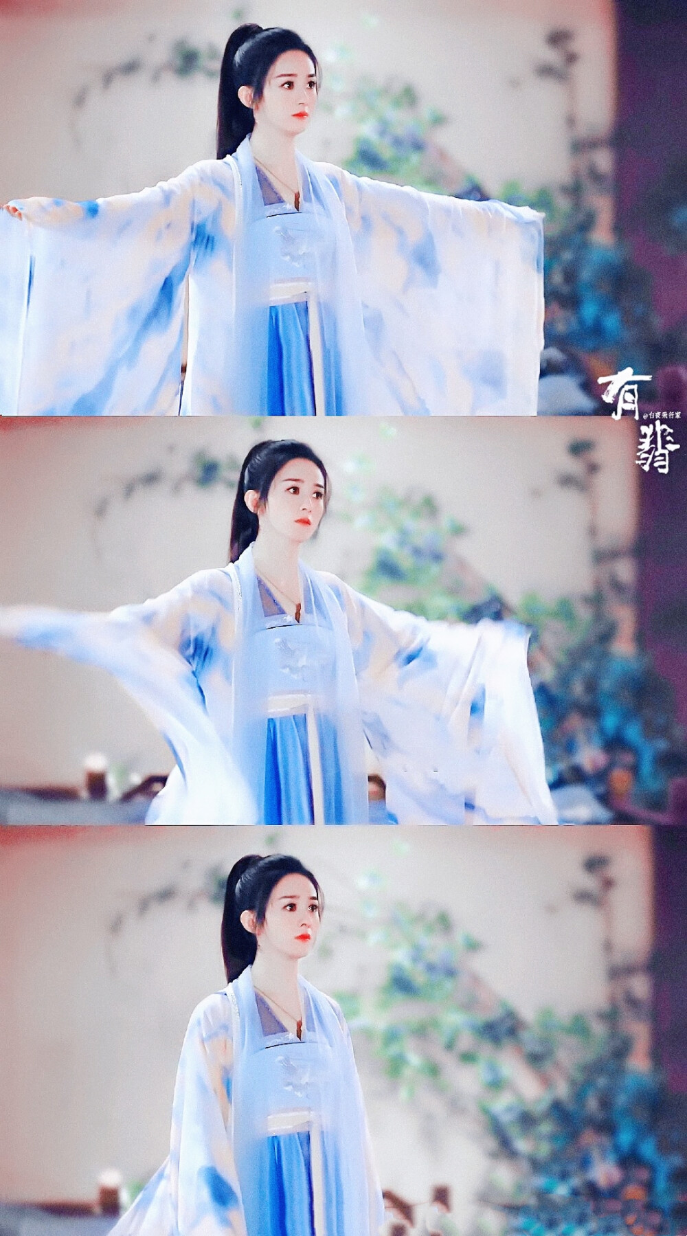 有翡周翡赵丽颖