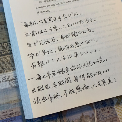 语录分享
手写字帖：屿鱼文创—小熊手写体
背景书：《英译中国现代散文》
©️小熊手写-