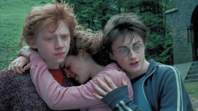 Hermione and her two useless men. 