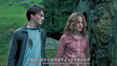 Hermione and her two useless men. 