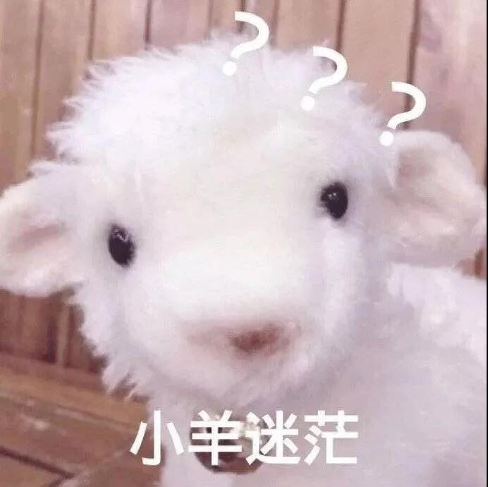 今日表情包，你保存好了吗？？？（粥粥疑惑）