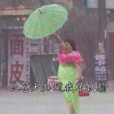 表情包