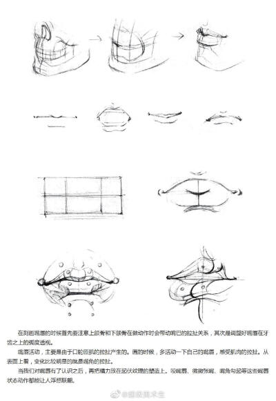 教程人物黑白几何嘴巴鼻子耳朵眼睛头微博转载
图源见水印
