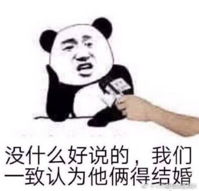 磕cp专用表情包