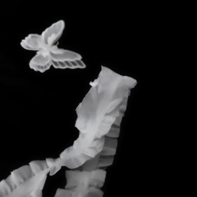 
IRENE'2021年 我想和他雙向奔赴*陷入愛情海