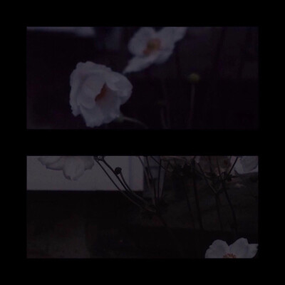 背景图可二改
