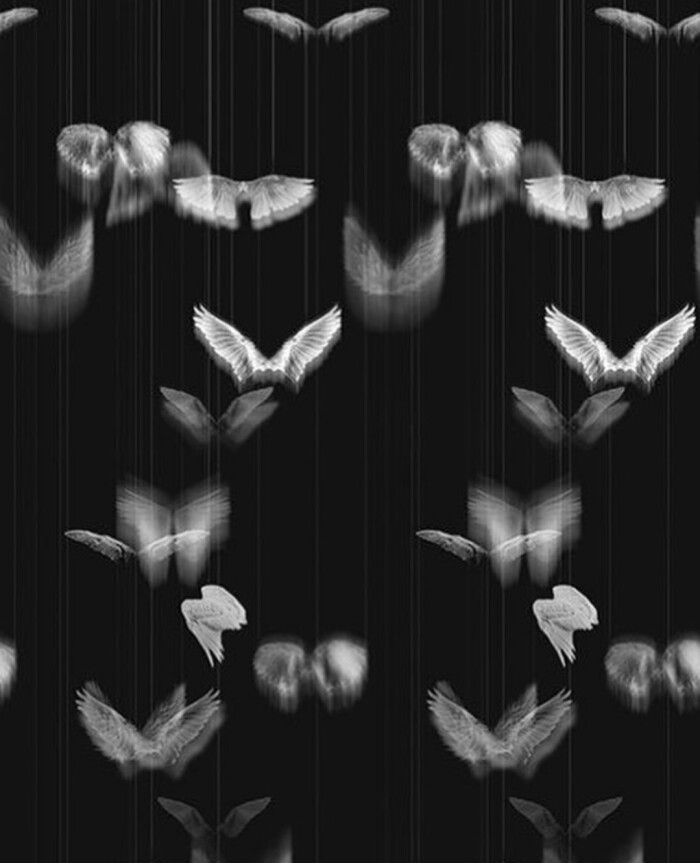 Kill This Love
At last. bye