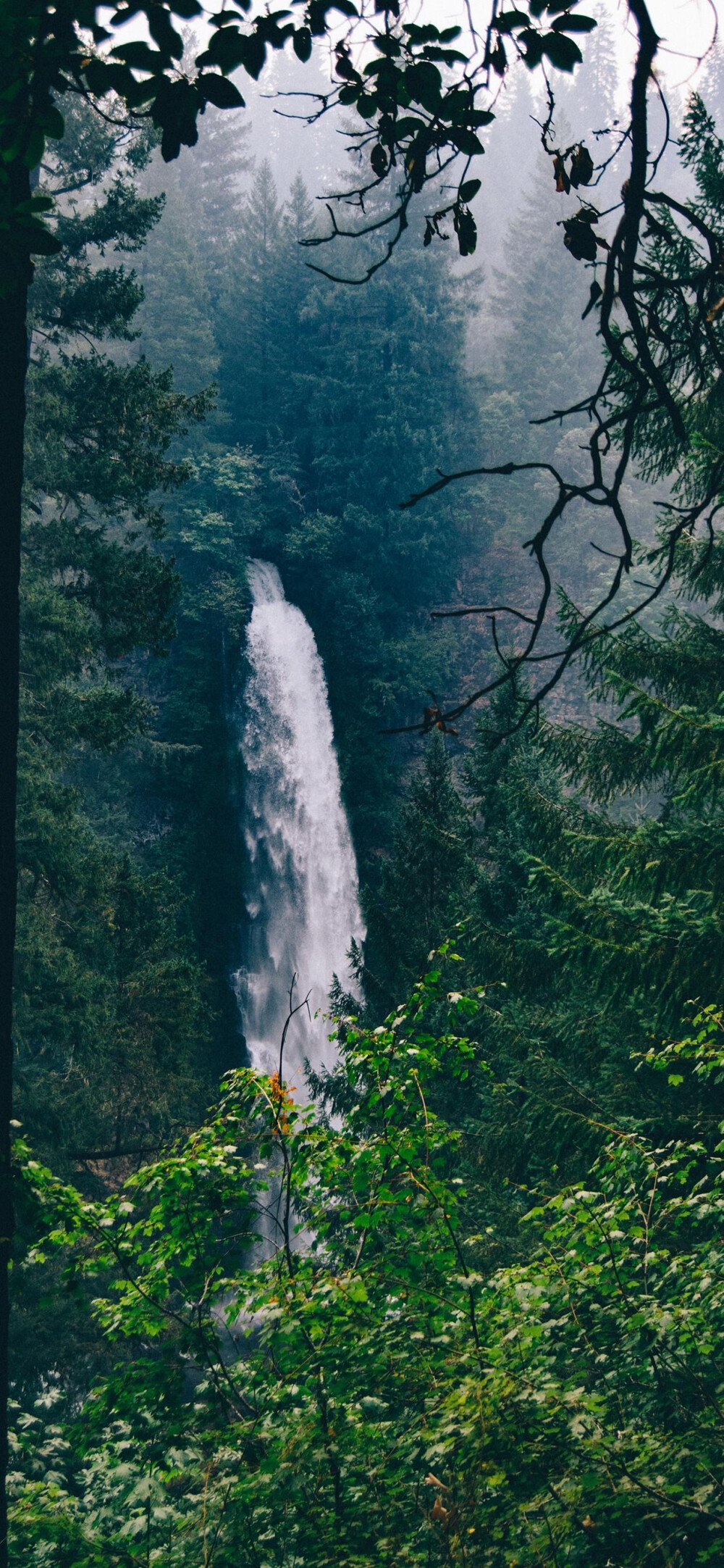 风景壁纸