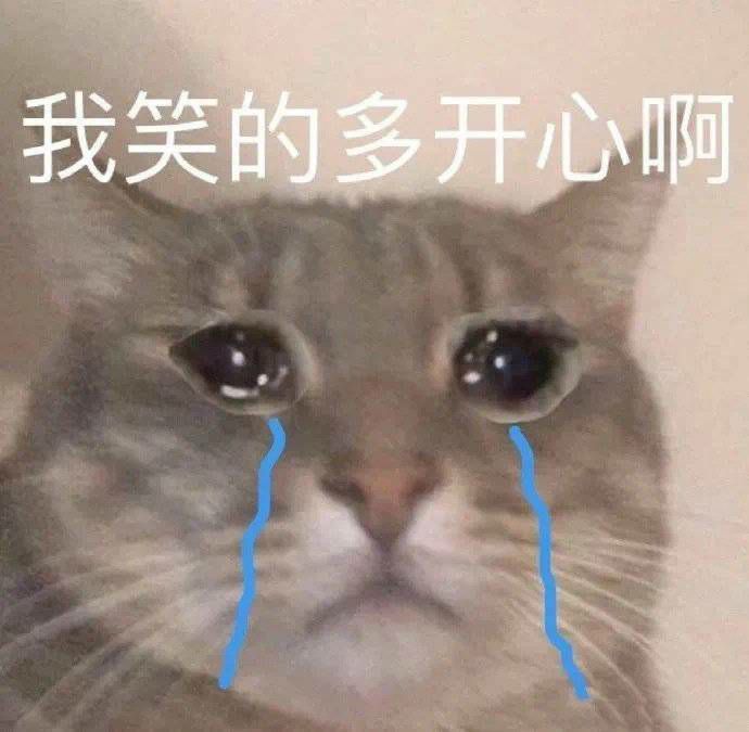 表情包