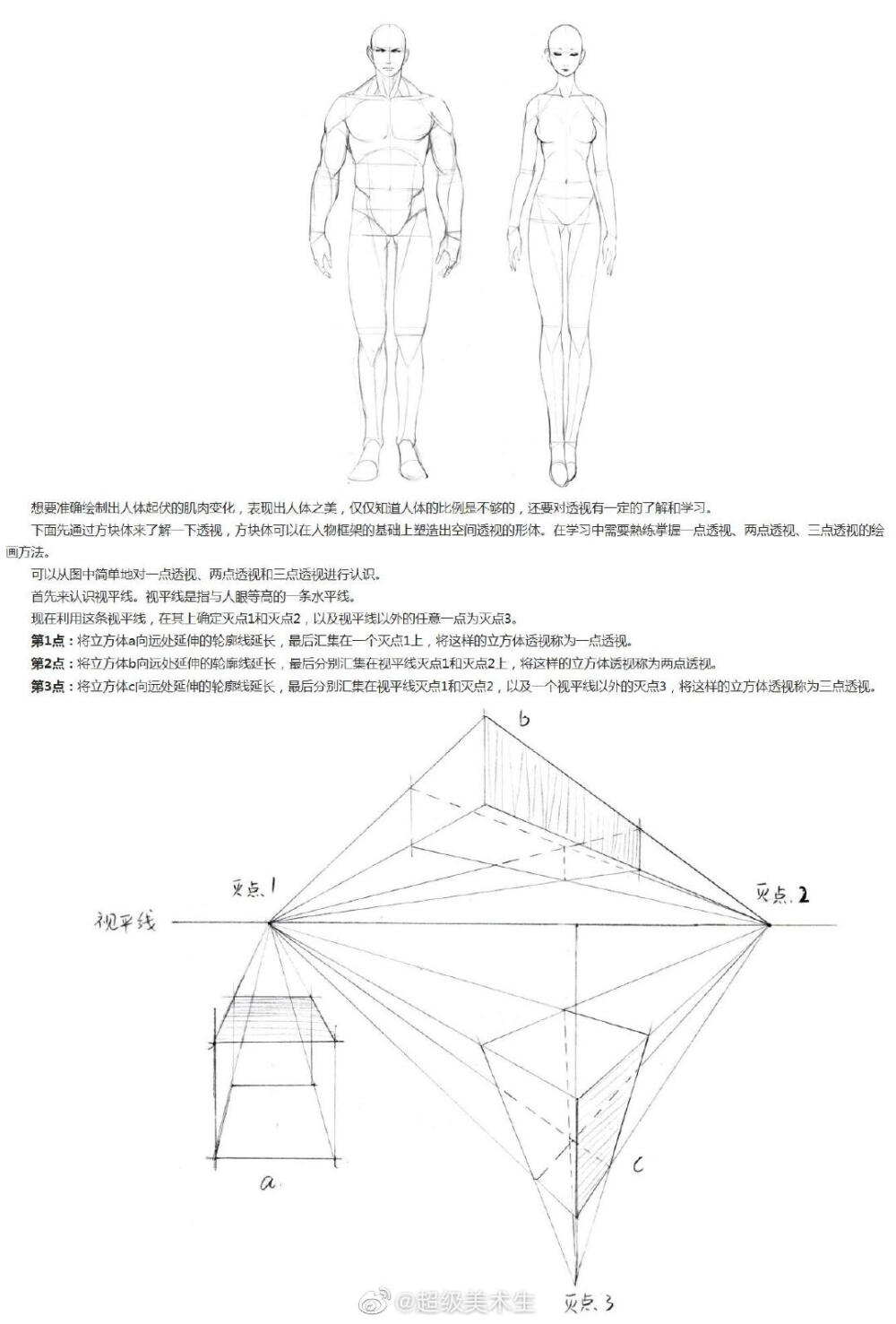 人物绘画教程眼睛侧面正面画法几何头部透视
图源见水印