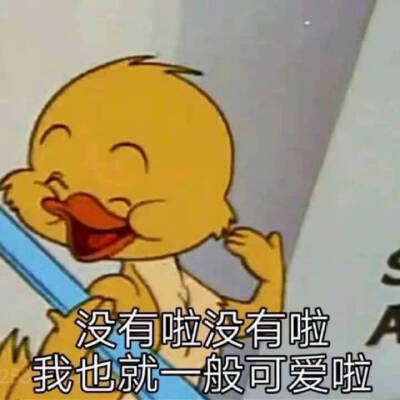 表情包