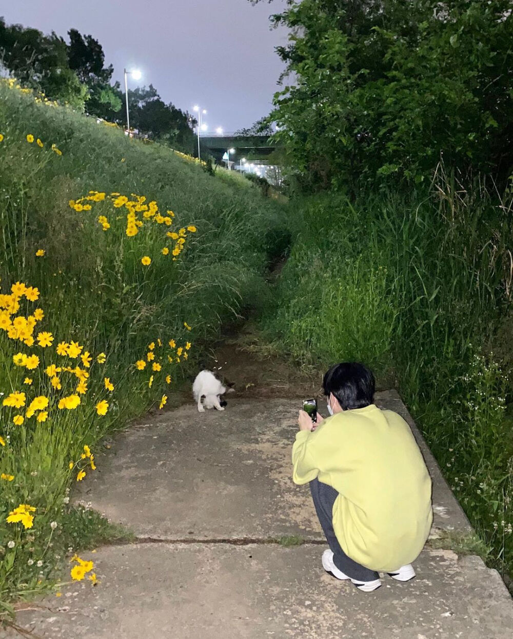 男生头像♡
头像集‖韩系头像