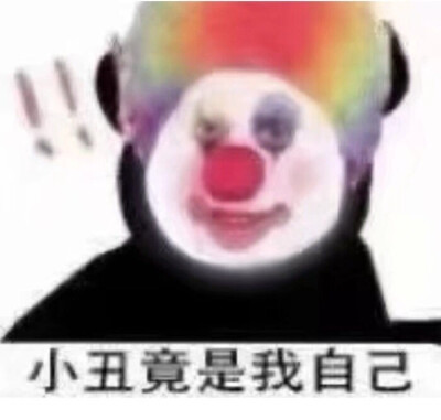 小丑竟是我自己