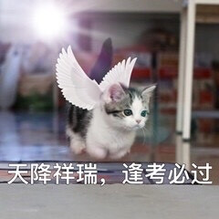 考试周必备表情包