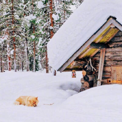  雪景壁纸
