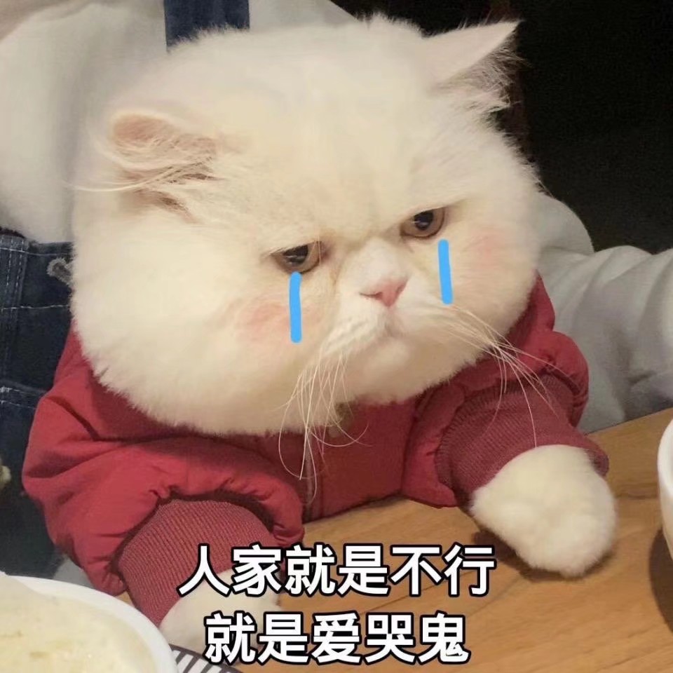 表情包赞评论更多所有评论你也来说些什么吧