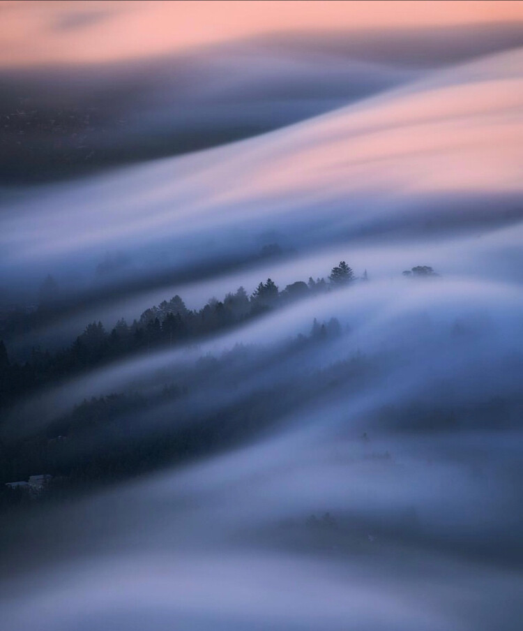 壁纸 背景图 头像 森林 雾
cr：摄影师：Michael Shainblum