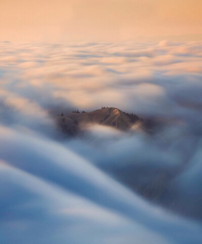 壁纸 背景图 头像 森林 雾
cr：摄影师：Michael Shainblum